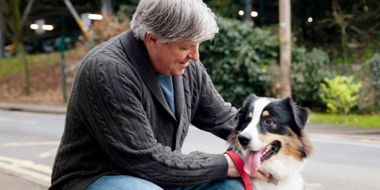 6 maneras de prevenir las lesiones al sacar a pasear al perro