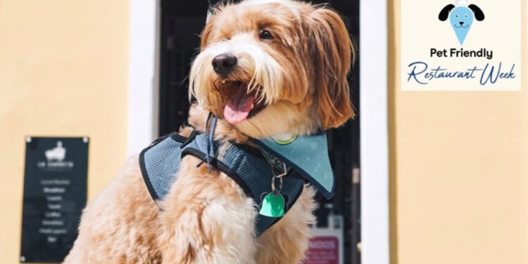 Regresa El ‘Pet Friendly Restaurant Week’ para celebrar el Día Nacional del Perro