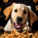 ¿Es saludable para los perros comer cereales?
