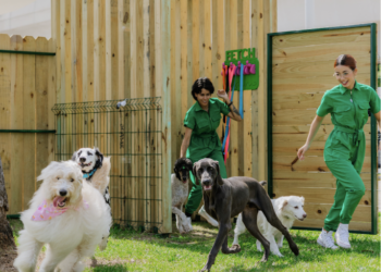 Nueva era para el cuidado de mascotas en Puerto Rico con la apertura de FETCH