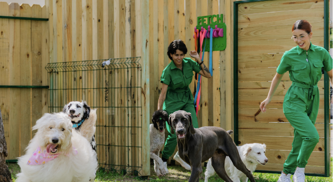 Nueva era para el cuidado de mascotas en Puerto Rico con la apertura de FETCH