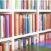 La Feria Anual del Libro de Caguas: Un puente hacia el universo literario