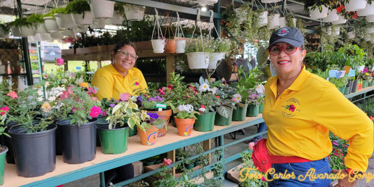Regresa el Festival de las Flores de Aibonito