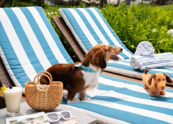 Fairmont El San Juan Hotel lanza menú exclusivo para perros