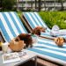 Fairmont El San Juan Hotel lanza menú exclusivo para perros
