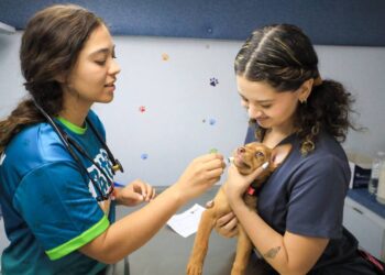 Municipio de San Juan lanza clínica veterinaria móvil para ofrecer servicios accesibles