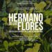 El Museo de San Juan inaugura exposición de Jun Martínez sobre la naturaleza y los afectos