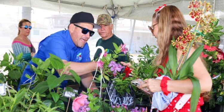 Cataño celebra la décima edición de su Festival de Orquídeas