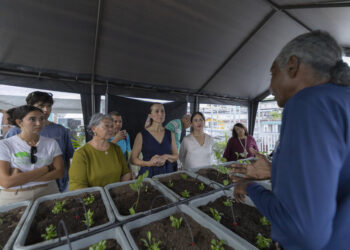 Abren Centros de Respuesta Cultural en Caguas, Salinas y Morovis