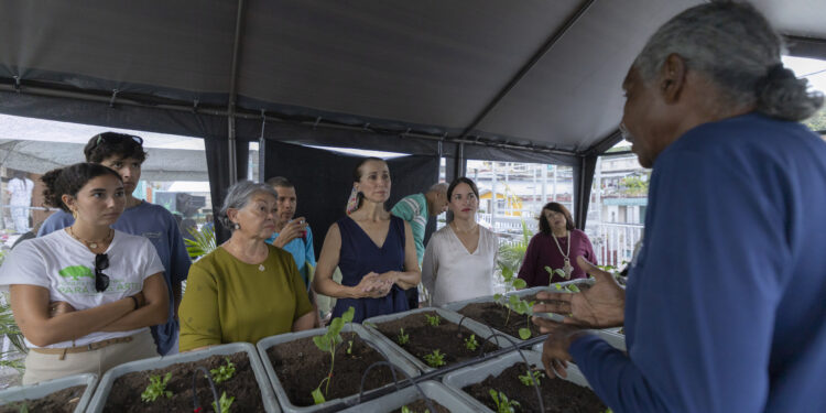 Abren Centros de Respuesta Cultural en Caguas, Salinas y Morovis