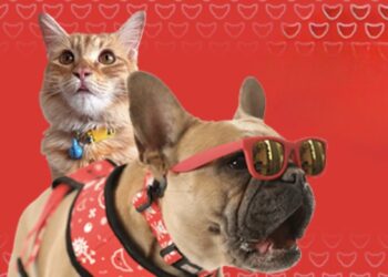 Vístelas con estilo para San Valentín
