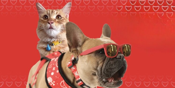 Vístelas con estilo para San Valentín