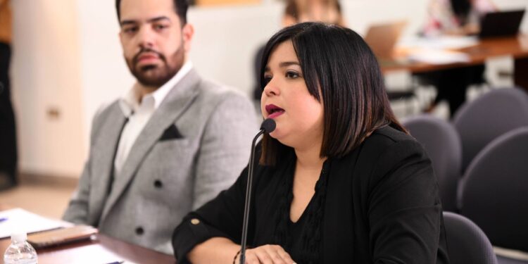 Proponen enmiendas a la ley de cuidadores informales