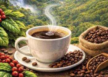 Maricao te espera con música y café