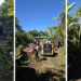 Antes y después de las labores realizadas en Ciales.