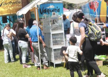 Ya arrancó el Festival Tierra Adentro en Utuado