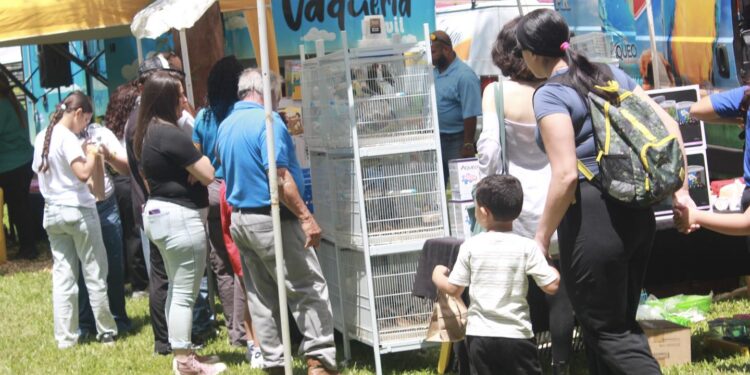 Ya arrancó el Festival Tierra Adentro en Utuado