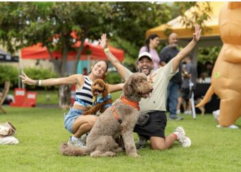 A celebrar y disfrutar con los hijos de cuatro patas