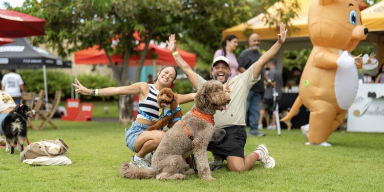 A celebrar y disfrutar con los hijos de cuatro patas