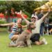 A celebrar y disfrutar con los hijos de cuatro patas