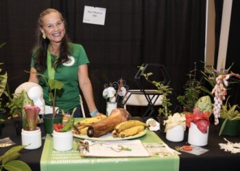 Plataforma de innovación y emprendimiento para el sector agrícola