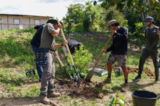 Siembran para fortalecer la seguridad alimentaria de adultos mayores en la montaña