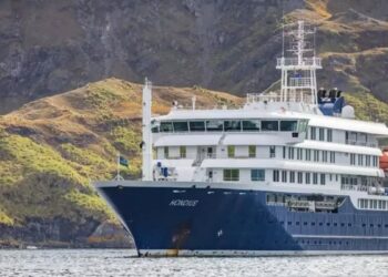 ¿Qué son los hantavirus, el brote que mantiene a pasajeros aislados en un crucero?