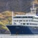 ¿Qué son los hantavirus, el brote que mantiene a pasajeros aislados en un crucero?