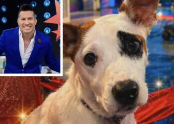 Lucky será el más mimado en el hogar para adultos mayores de Alex DJ