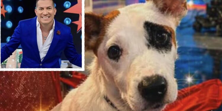 Lucky será el más mimado en el hogar para adultos mayores de Alex DJ