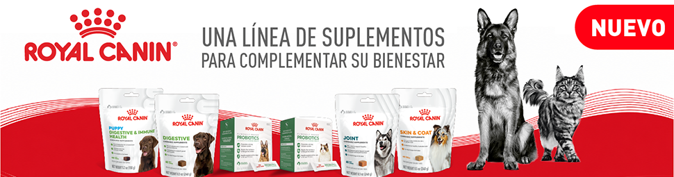 RoyalCanin_970x250_Julio