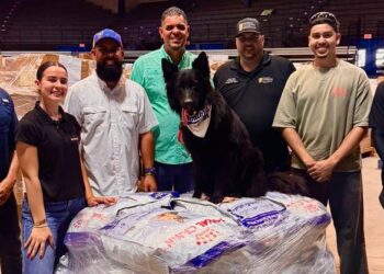 Envían ayuda para perros y gatos rescatados en Venezuela