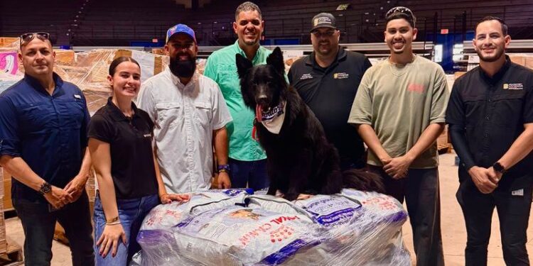 Envían ayuda para perros y gatos rescatados en Venezuela