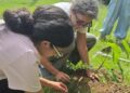 Siembran árboles para cosechar un ambiente de paz