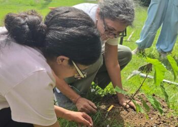 Siembran árboles para cosechar un ambiente de paz