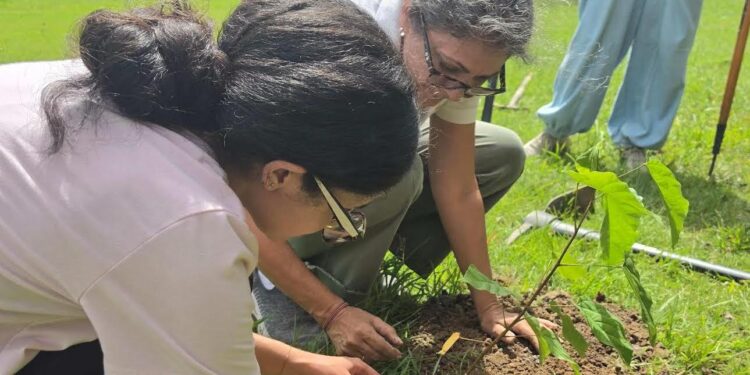 Siembran árboles para cosechar un ambiente de paz