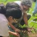 Siembran árboles para cosechar un ambiente de paz